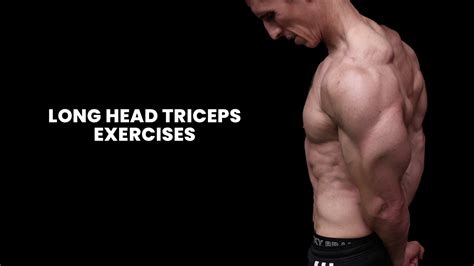 Long Head Triceps Exercises For Bigger Arms ATHLEAN X