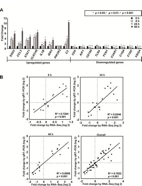 Validation Of Rna Seq Data By Qrt Pcr A Qrt Pcr Results Of The 17