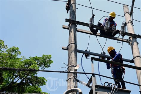 Petugas Pln Malang Lakukan Perawatan Jaringan Listrik Foto