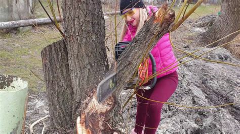 Awesome Video Pretty Girl Chainsaw Top Big Tree Cutting Down Extreme Felling Wedge Fastest