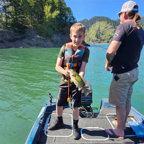 Lookout Point Lake Fishing Reports🎣• Cottage Grove Or United States
