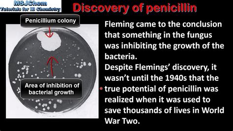 D Discovery Of Penicillin Sl Youtube