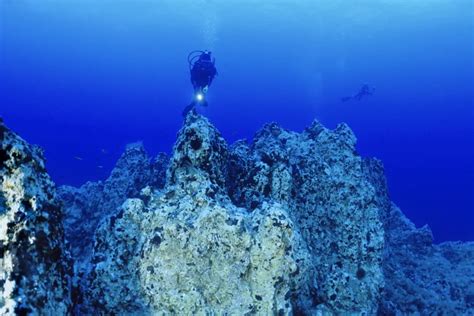 Dive In With Responsibility Trends And Tips For Eco Friendly Scuba