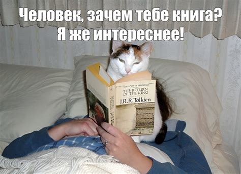 Создать мем "котик с книжкой, кошка, смешной кот с книгой" - Картинки ...