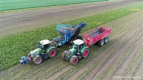 Video Bietenoogst Met Een Edenhall 754 Getrokken Rooier Akkerwijzer