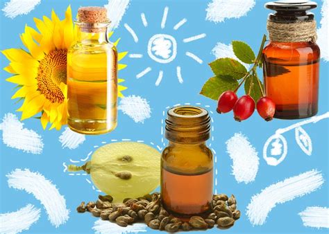 Best Oils For Acne Prone Skin How To Use Oils For Oily Skin Glowsly