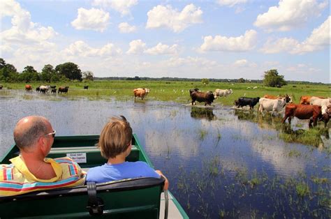 Explore The New 85-Acre Drive-Through Safari Park In Florida