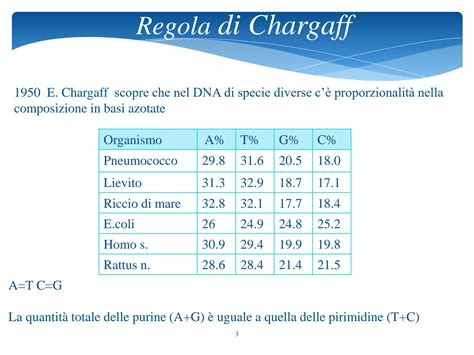 SOLUTION 3 Dna Struttura E Replicazione Cromosomi Studypool