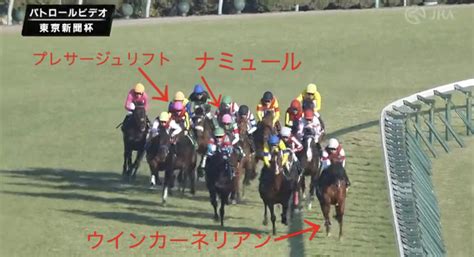 東京新聞杯2023 ものさし競馬 Atwiki（アットウィキ）