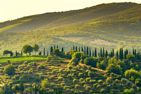 Produttori Imperdibili Di Vini Naturali Chianti Florwine