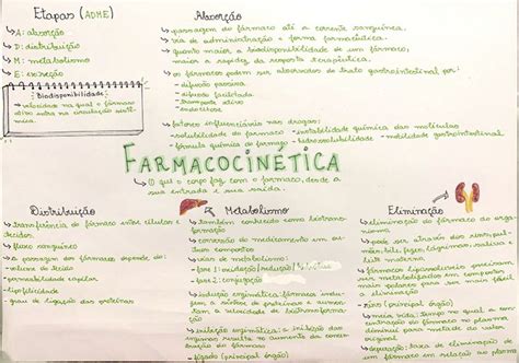 Farmacocinética mapa mental Mapa Mapas mentais Mapa mental