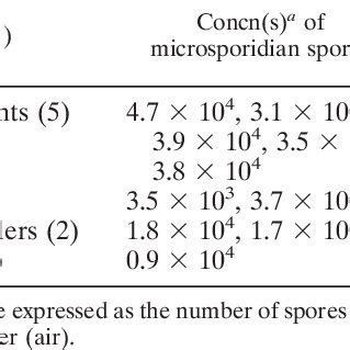 Detection Of E Bieneusi Spores In Water Pigeon Guano And