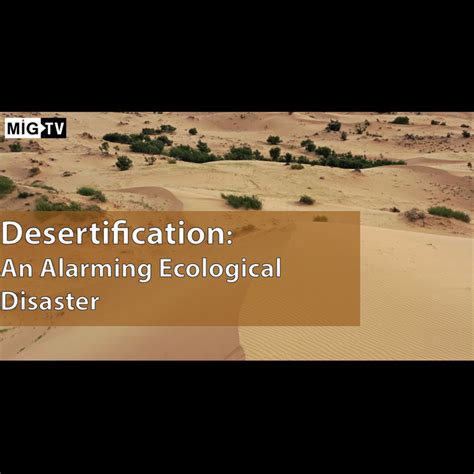 Desertification Solutions