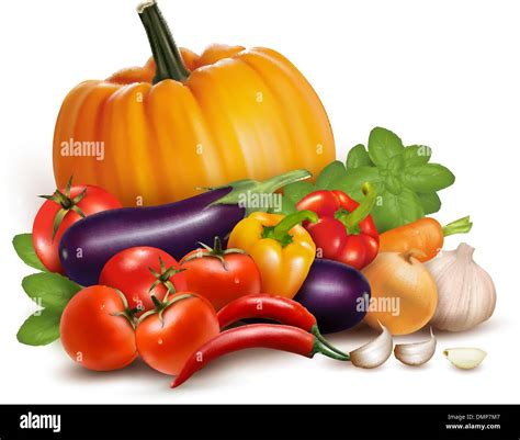 Fresh Vegetables Healthy Food Vector Illustration Stock Vector Image