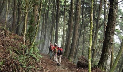 馬崙山步道 健行筆記