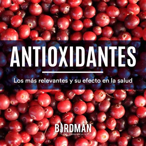 ¿para Qué Sirven Los Antioxidantes Vida Birdman Blog Vidabirdman