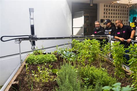 Engine 4 Busca Revolucionar La Agricultura En Puerto Rico Y Enseñar