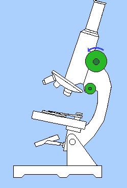 Microscope GIF - Find & Share on GIPHY