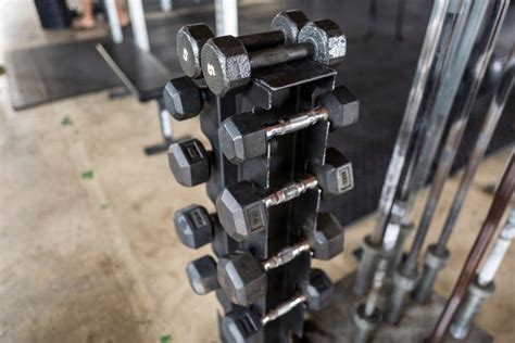 Best Dumbbell Racks For A Home Gym Homegymboss