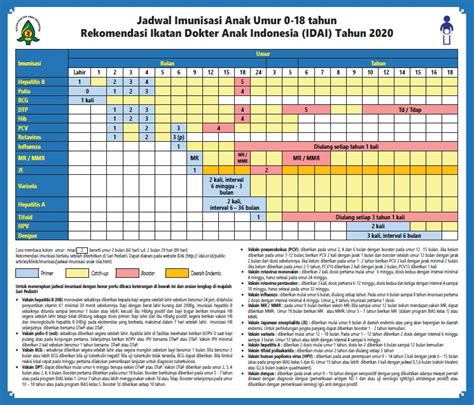 Jangan Terlewat Ini Jadwal Imunisasi Dasar Lengkap Anak