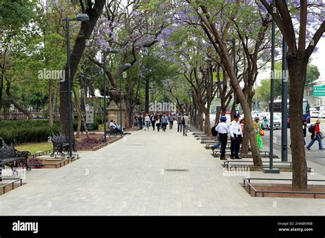 Park Alameda Central in the center of Mexico city Stock Photo - Alamy