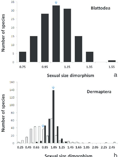 Distribution Of Sexual Size Dimorphism For Body Size Female Body