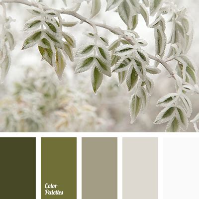 dark olive | Color Palette Ideas