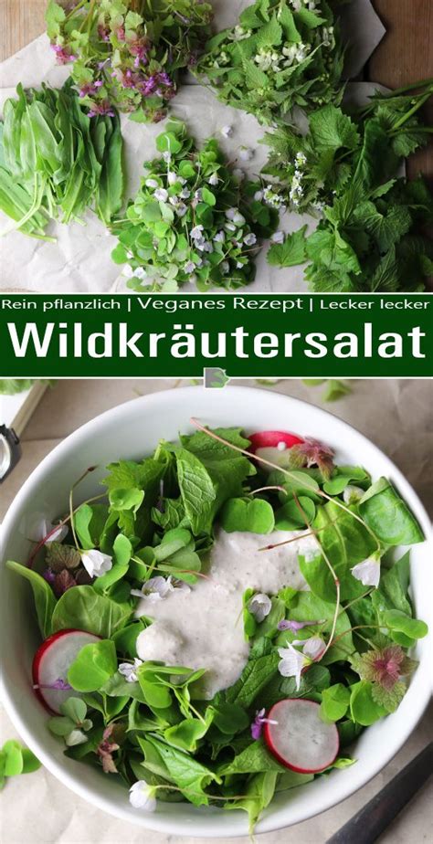 Gemischter Wildkräuter Salat Dailyvegan Salat Wildküche Rezept