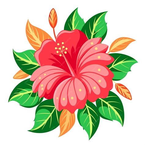 Premium Vector Hibiscus Flower