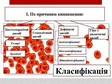 Анемії — Це патологічний стан який характеризується