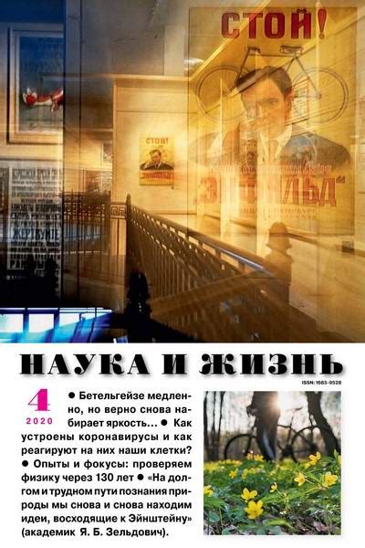 Наука и жизнь №4 (апрель 2020) - Журналы, техника, PDF, наука, журнал ...