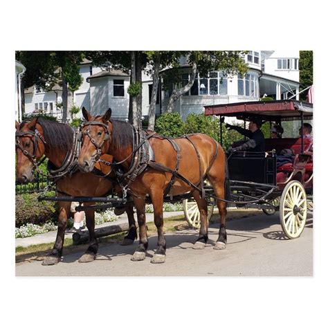 Horse And Carriage On Mackinac Island Mi Postcard Gender Unisex Age