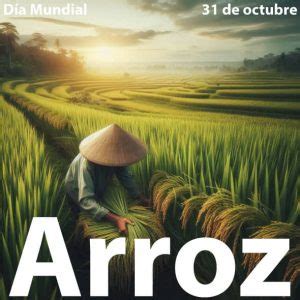 D A Internacional Del Arroz D As Mundiales