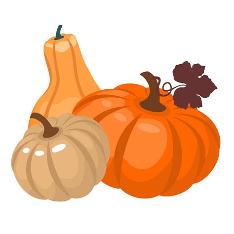 A Group Of Three Pumpkins Of Different Shapes Vector Illustrated