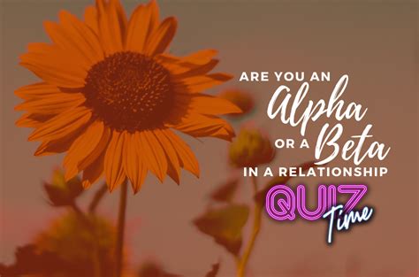 Are You An Alpha Or A Beta In A Relationship Lifestyle Rojak Daily