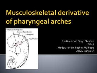 Musculoskeletal Derivative Of Pharyngeal Arches Ppt