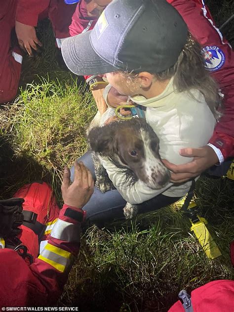 Delighted Dog Owner Is Reunited With Her Spaniel Indie After She