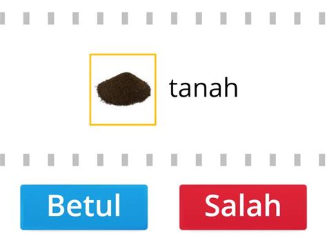 Pilih Mana Yang Betul Atau Salah Bagi Pembiakan Tanaman Biji Benih