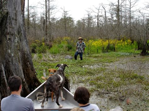 Louisiana Swamp Tours: Cool Autumn Louisiana Swamp Tours