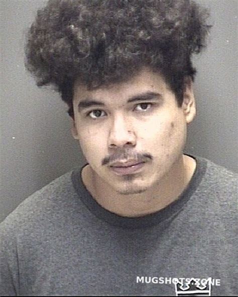 Gonzalez Jacob Lyn Galveston County Mugshots Zone