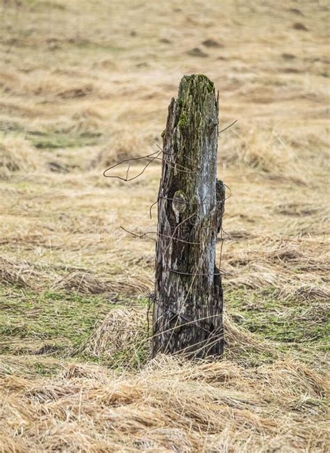 Poste De Cerca Podrido En Islandia Foto De Archivo Imagen De