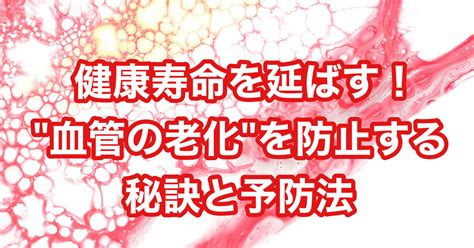 健康寿命を延ばす！血管の老化を防止する秘訣と予防法 50代以上向け身体作り プロテイン摂取法やジムの選び方などのコラム記事を