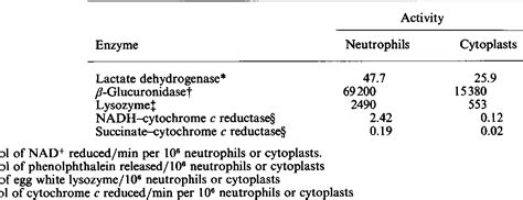 Table 2 From Phospholipid Metabolism In Human Neutrophils Activated By