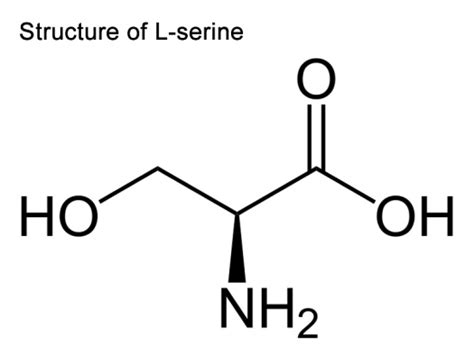 L-Serine-structure.jpg | Foundation for Alternative and Integrative ...