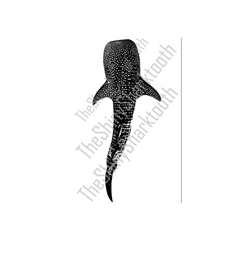 Whale Shark SVG - Etsy