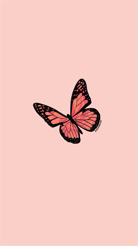 Aesthetic Orange Butterfly Wallpapers Top Free Aesthetic Orange