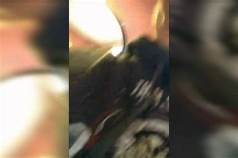 December 19 Pub Potty Wmv Amateur House Clips4Sale