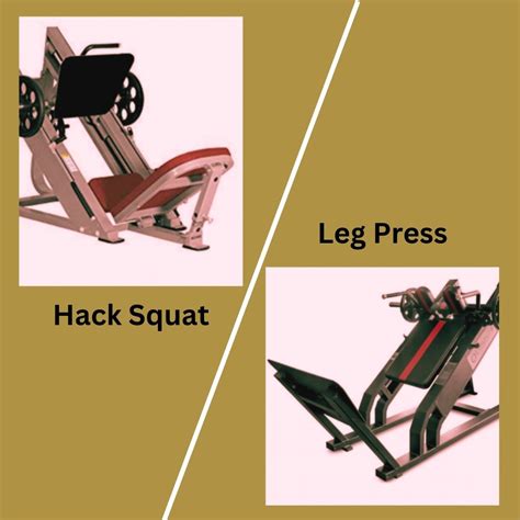 Hack Squat The Ultimate Leg Workout Guide Fit Health Spot