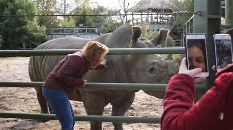 Virginia Zoo Behind The Scenes Tours 2019 Youtube