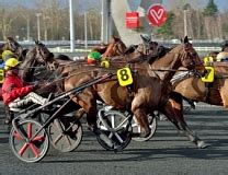 Bold Eagle renoue avec le succès dans le Grand Critérium de Vitesse